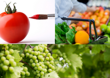 BRCGS norme za potrošačke proizvode, izdanje 4