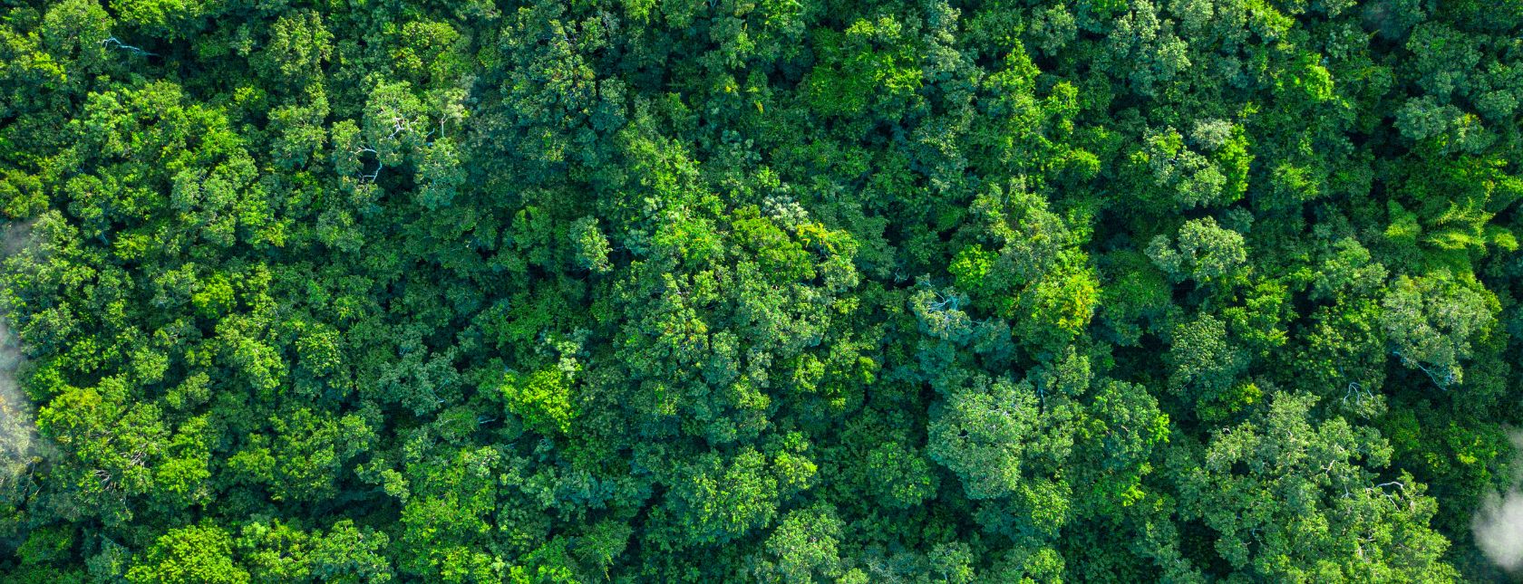 Revizija norme ISO 14001 – Sustav upravljanja okolišem