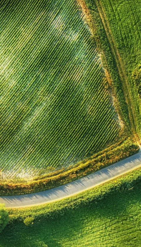 Sustainability at DNV