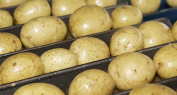 GLOBALG.A.P IFA Plants verzija 6