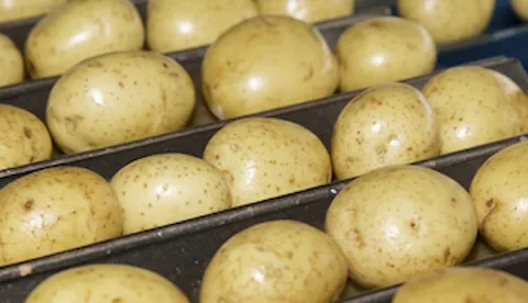 GLOBALG.A.P IFA Plants verzija 6