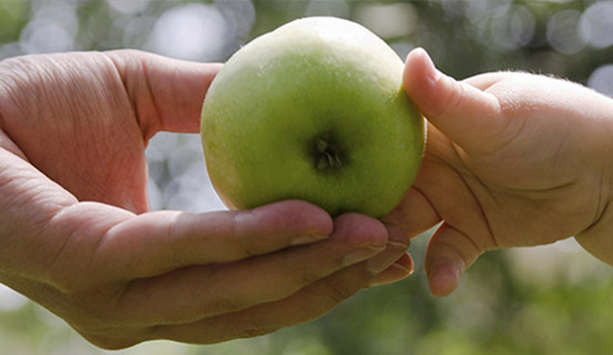 ISRS™: za zdravlje Vašeg poslovanja