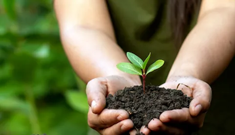 Revizija norme ISO 14001