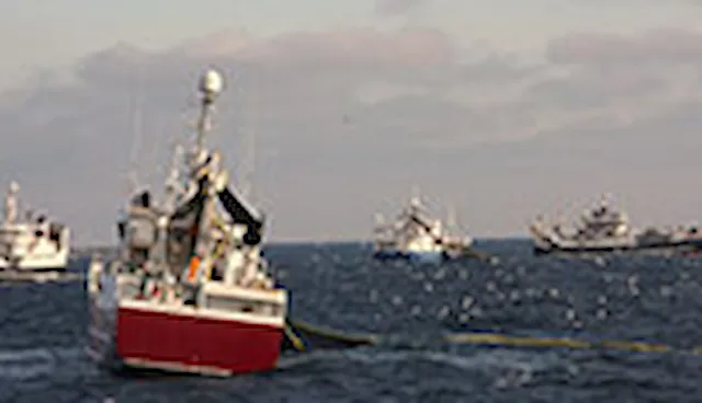 Estándar de MSC de Pesca Sostenible