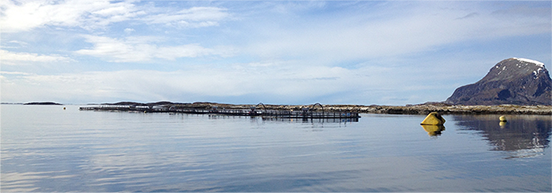 Tehničke usluge akvakulture